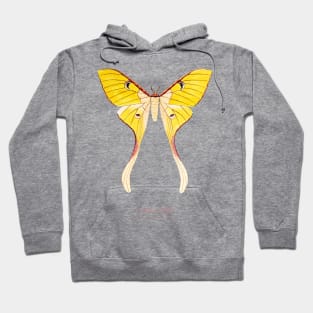 Moth - Malaysian Moon Moth, Actias Maenas Leto female 1 Hoodie